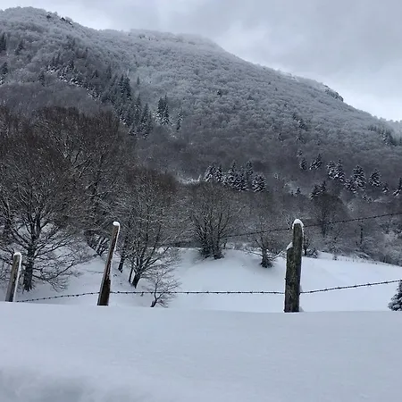 Les Terrasses Du Chateau De - 4p Au Pied Du Chateau De * Murol